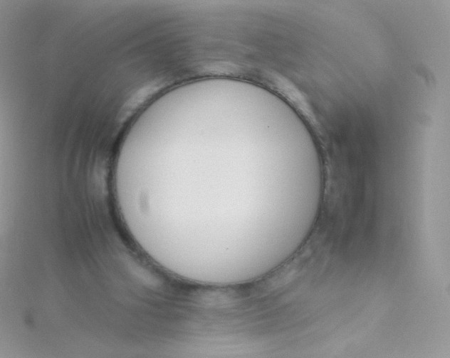 X0000115500106200911271418