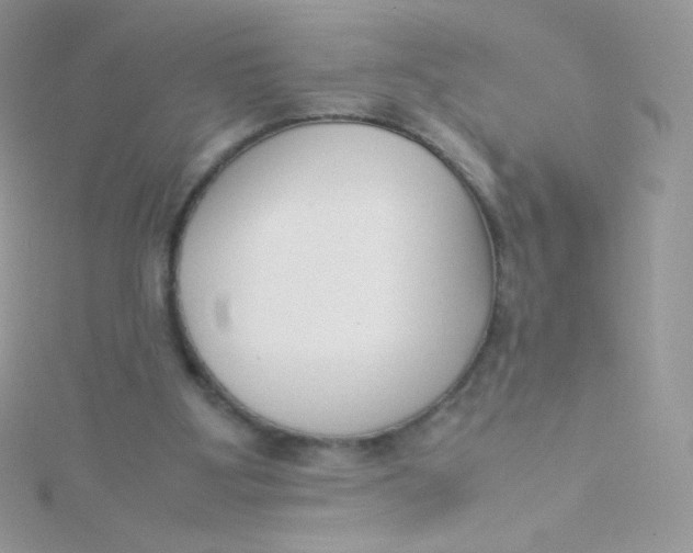 X0000115500107200911271418