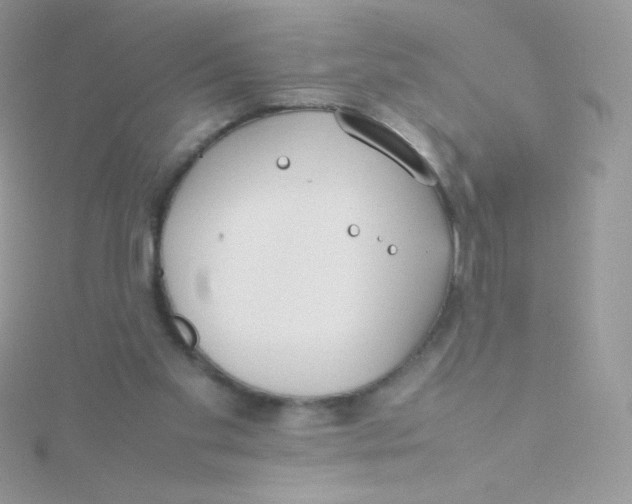 X0000115500109200911271418