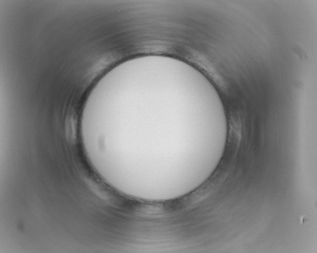 X0000115500110200911271418