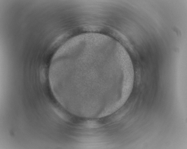 X0000115500114200911271418