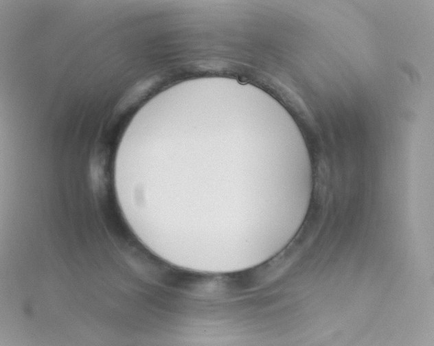 X0000115500116200911271418
