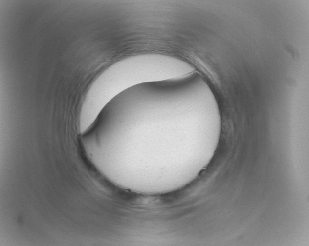 X0000115500117200911271418