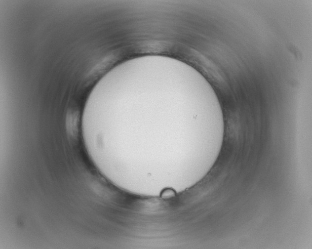 X0000115500118200911271418