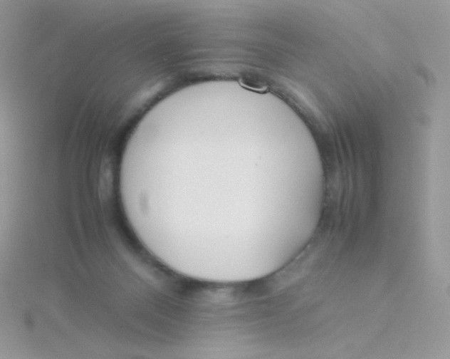 X0000115500120200911271418