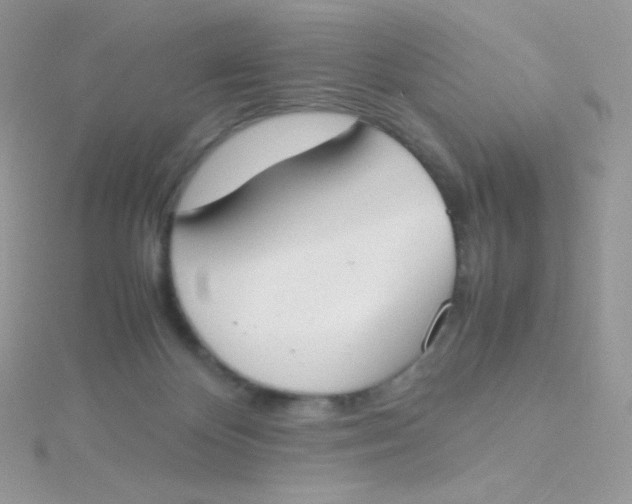 X0000115500124200911271418
