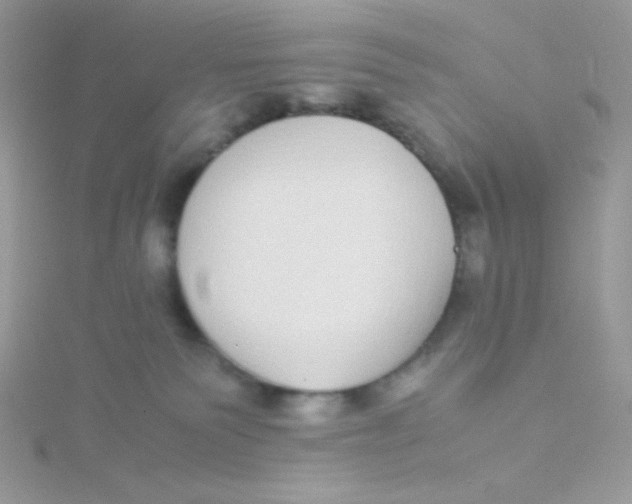 X0000115500135200911271418