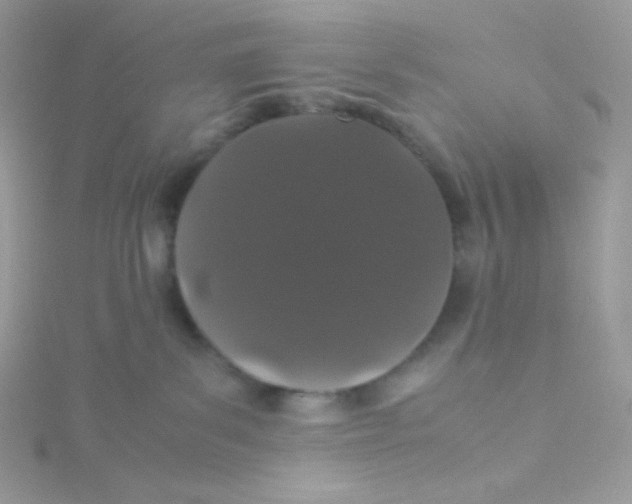 X0000115500139200911271418