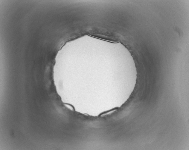 X0000115500144200911271418