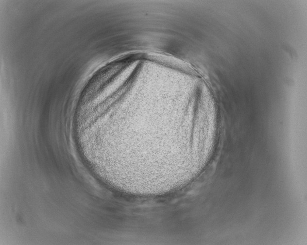 X0000115500145200911271417