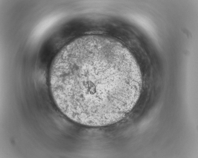 X0000115500146200911271417