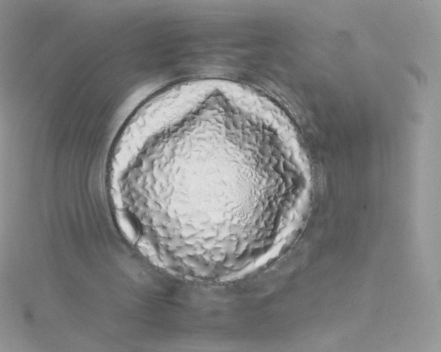 X0000115500147200911271417