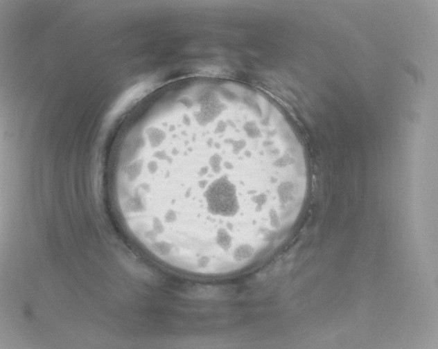 X0000115500149200911271417