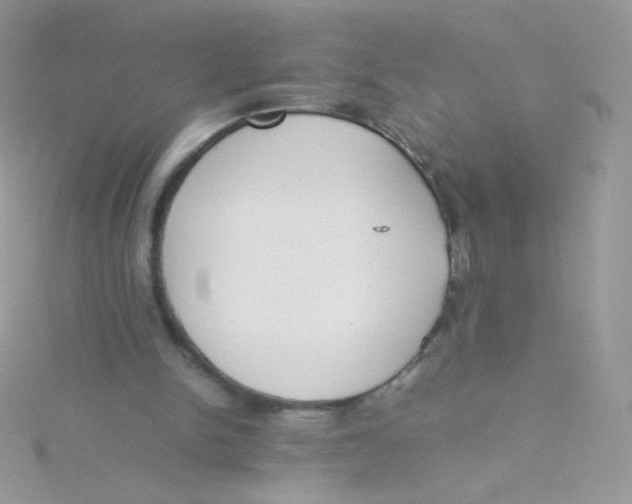 X0000115500150200911271417