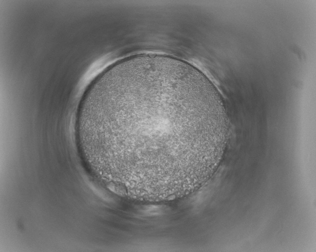 X0000115500151200911271417