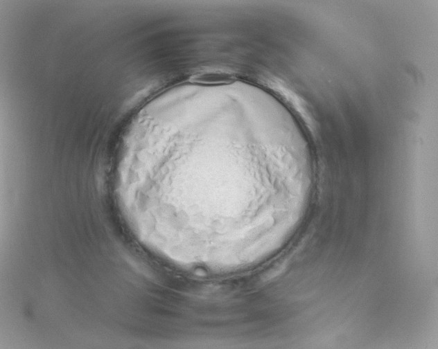 X0000115500153200911271417