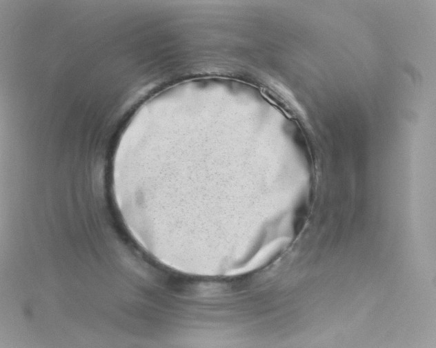 X0000115500154200911271417