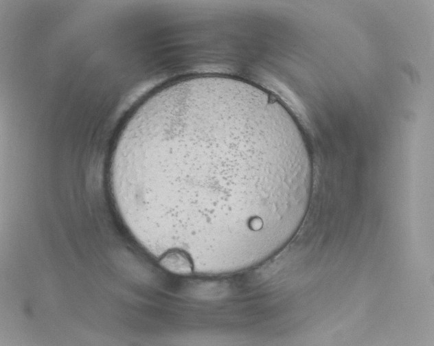 X0000115500155200911271417