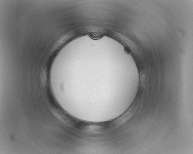 X0000115500158200911271417