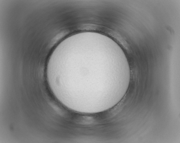 X0000115500159200911271417