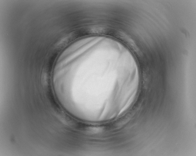 X0000115500161200911271417