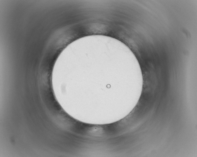 X0000115500162200911271417