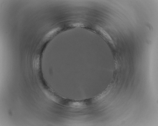 X0000115500163200911271417