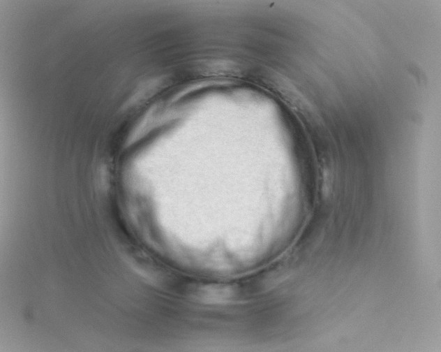 X0000115500165200911271417