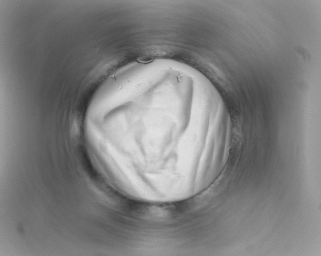 X0000115500166200911271417