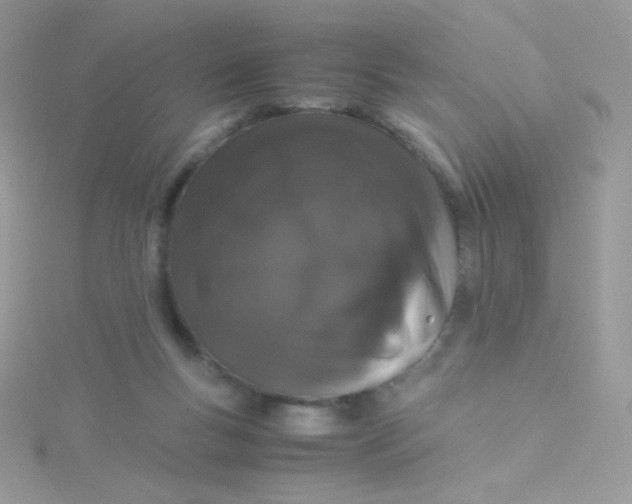 X0000115500167200911271417