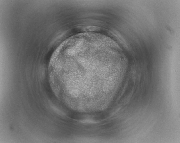 X0000115500169200911271417