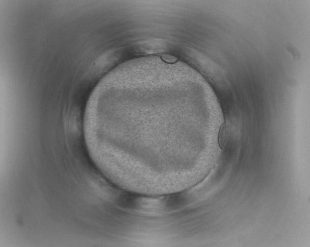 X0000115500170200911271417