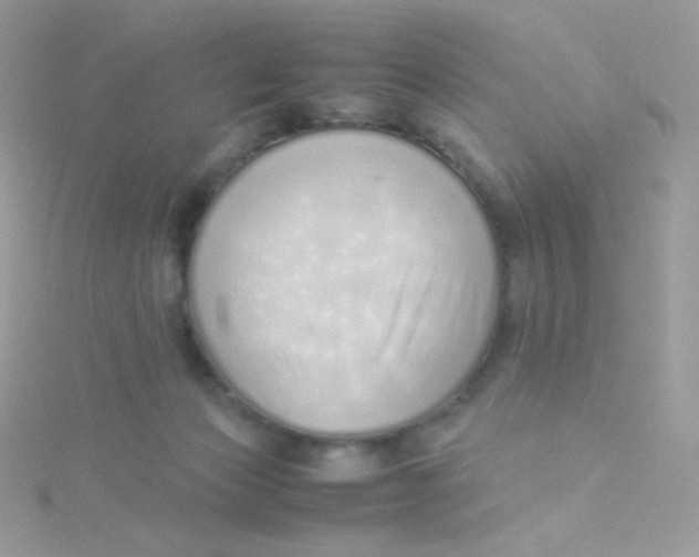 X0000115500173200911271417