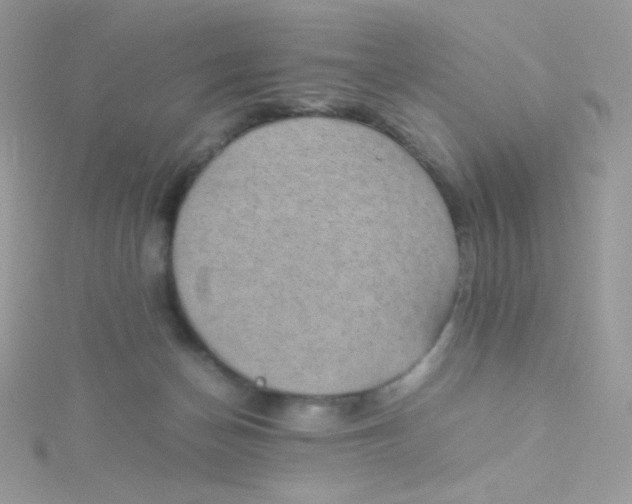 X0000115500174200911271417