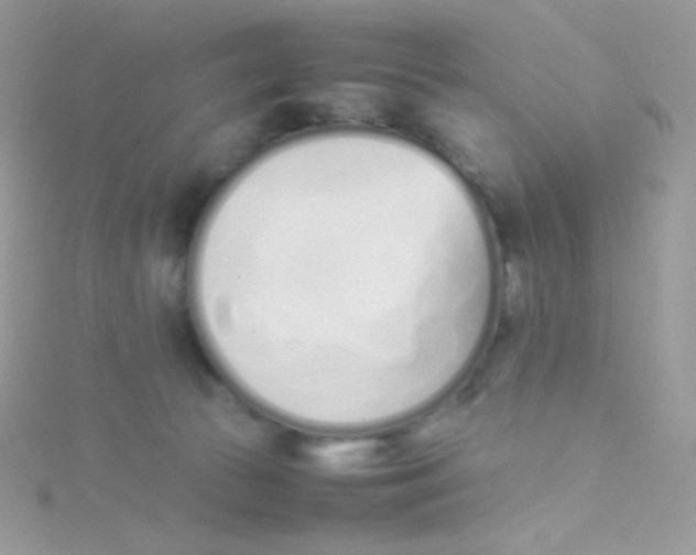 X0000115500177200911271417