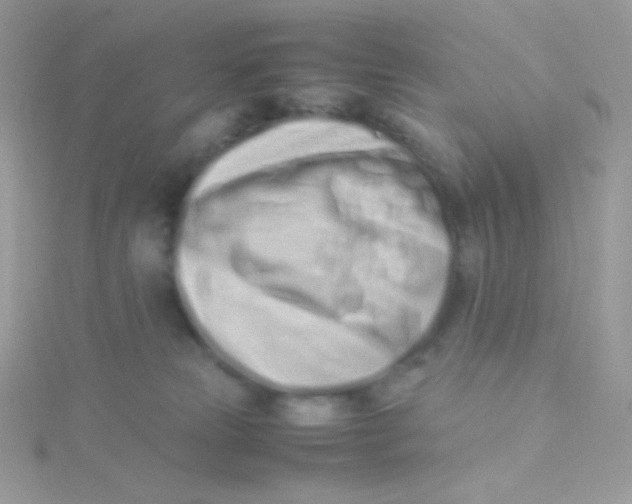 X0000115500181200911271418