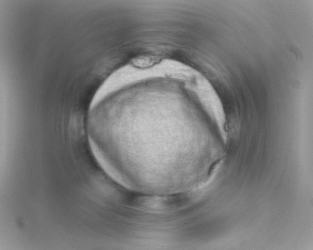 X0000115500182200911271418