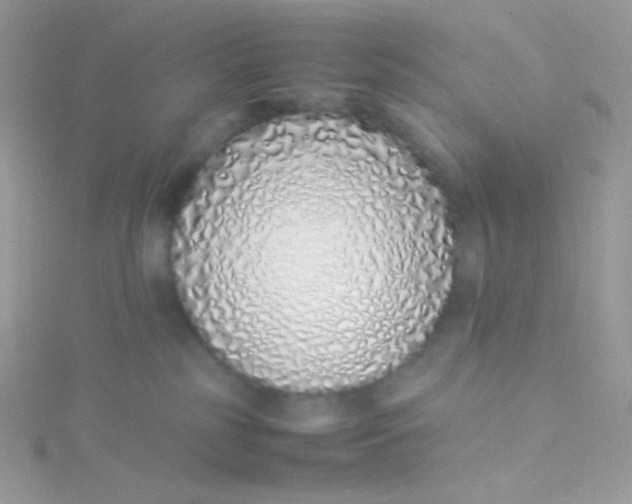 X0000115500185200911271418