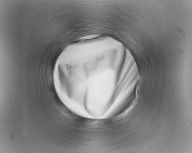 X0000115500186200911271418