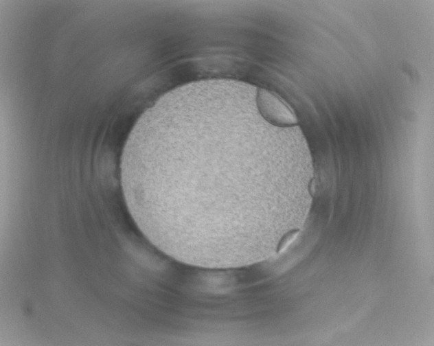 X0000115500187200911271418