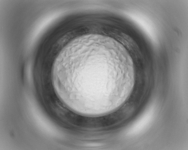 X0000115500189200911271418