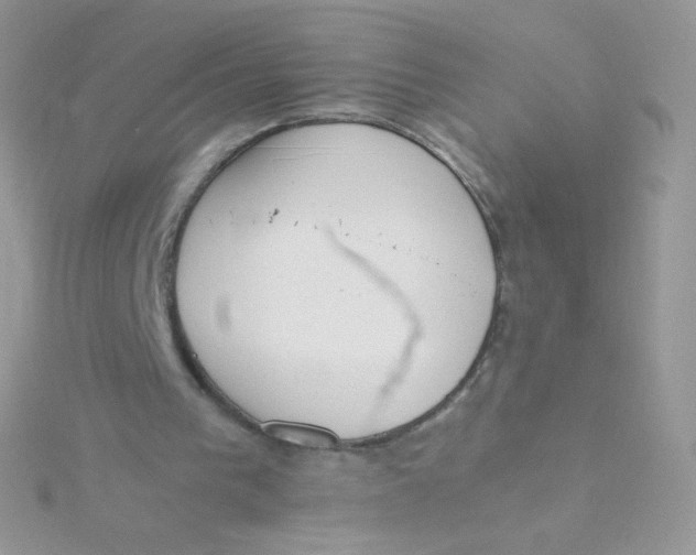 X0000115500193200911271417