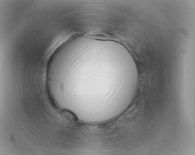 X0000115500194200911271417