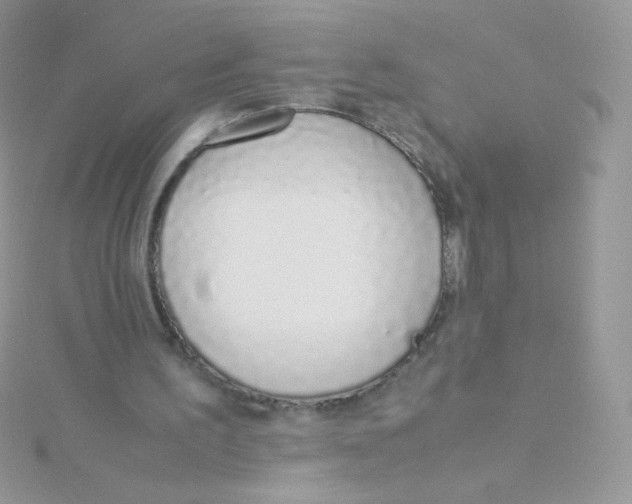 X0000115500195200911271417