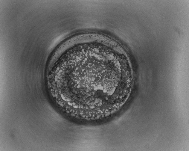 X0000115500196200911271417