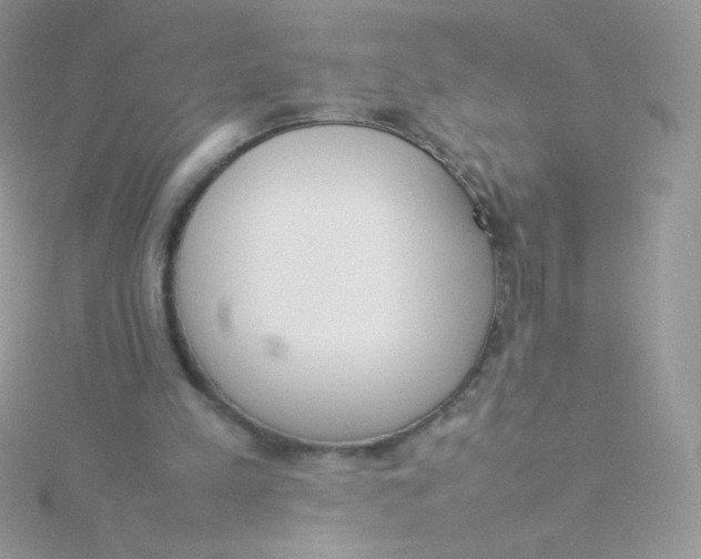 X0000115500197200911271417