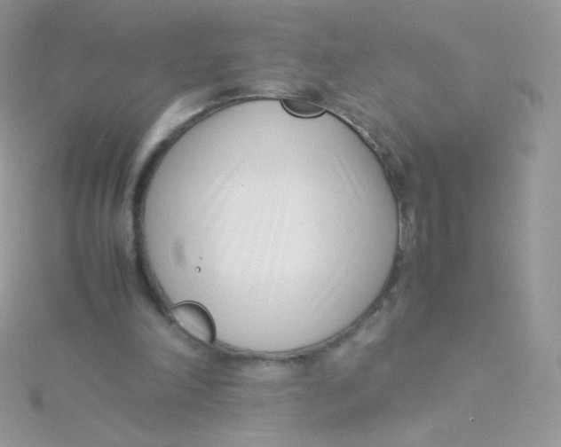 X0000115500198200911271417