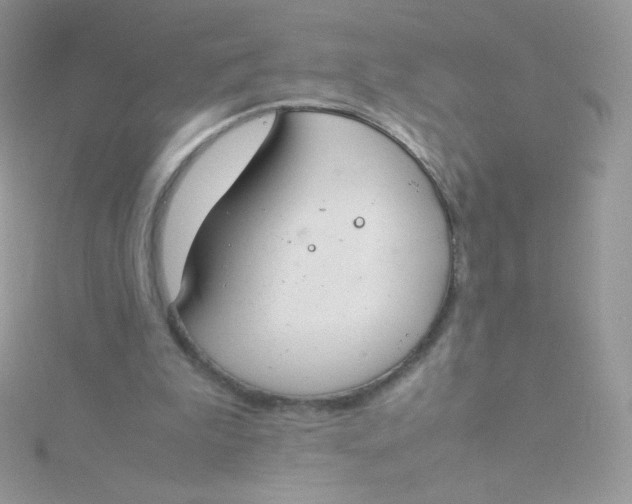 X0000115500199200911271417