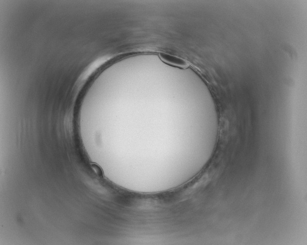 X0000115500200200911271417