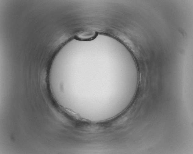 X0000115500201200911271417